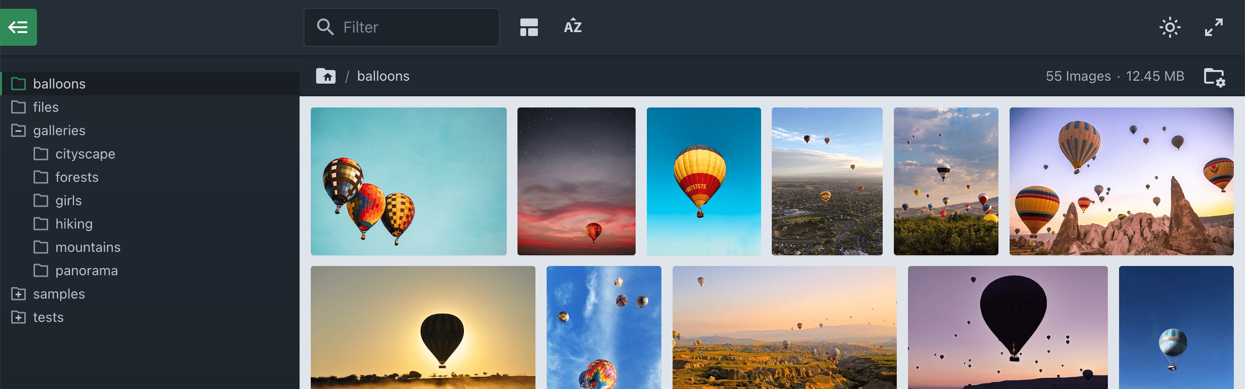 files.gallery